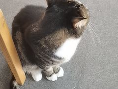 -青沐画室·专业美术培训
