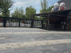 -东湖落雁景区