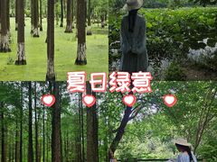 -艾溪湖湿地公园