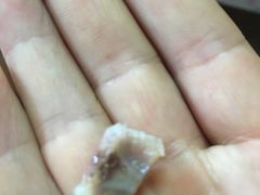 -紫燕百味鸡(广埠屯店)