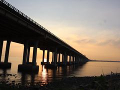 -宝安西湾红树林湿地公园