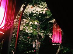 -花马天堂云南餐厅 Lost Heaven(高邮路店)