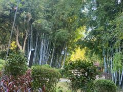 -林丰温泉度假山庄