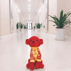 -妍悦母婴月子会所(武汉天地店)