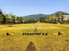 -淘米·公司团建·团队旅游·拓展培训