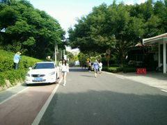 -仙岳公园