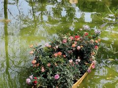 -人民公园(罗湖区)