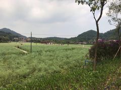 -红山村