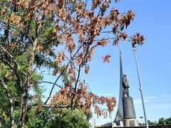-维乐口腔医院(福清院)