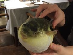 -肆月河豚·新淮扬(金融街店)