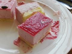 -视界美食自助餐厅·石家庄希尔顿酒店