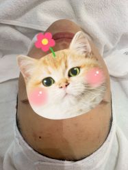 -纤纤玉手美甲美睫美容