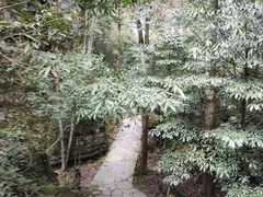 -梭布垭石林景区