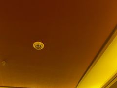 -金色莲花泰式按摩SPA(石牌店)
