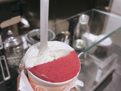 荔枝树莓洛神花-Dip in Gelato(富民路店)