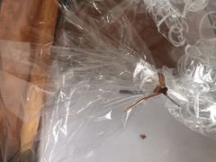 -好利来(桃源店)