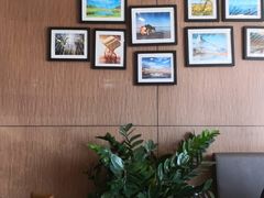 -夏雪花·手工拉面(南油店)