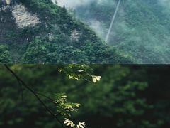 -鹿院坪生态旅游景区