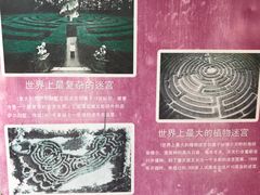 -东部华侨城