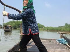 -溱湖国家湿地公园