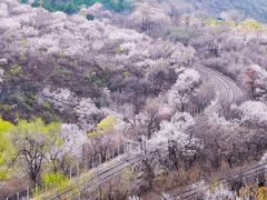 -居庸关长城