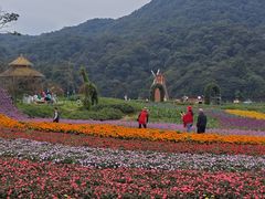 -广州市石门国家森林公园