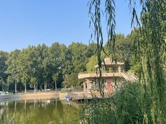 -黄村公园