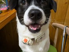 -鹤之乡·齐齐哈尔烤肉·非遗(秋涛路店)