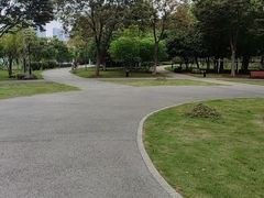 -月湖风景区