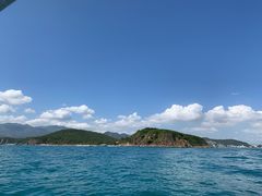 -珊瑚岛