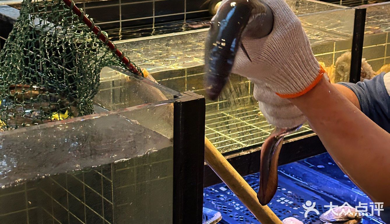 又是长见识的一顿！！现点现🔪的烤活鳗...