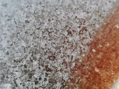 -西双版纳原始森林公园