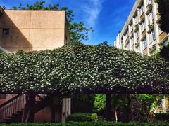 -四川大学(望江校区)