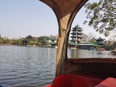 -桂湖森林公园