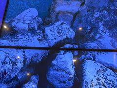 -了凡国风主题茶馆·咖啡(武侯祠锦里店)