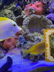 -Zoolung Zoolung动物主题公园(海信广场店)