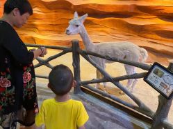 -酷嗒动物文化乐园(cutezoo西溪乐天城店)