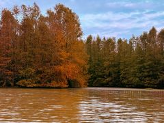 -上海海湾国家森林公园