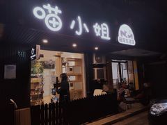 -1013 PET SHOP精品宠物商店(丁香店)