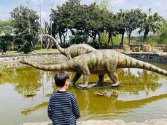 -自贡恐龙博物馆