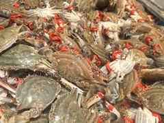 -一方渔歌蒸汽海鲜自助(文化路万达广场店)