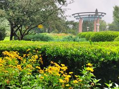 -中央广播电视总台(光华路办公区)