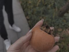 -木守西溪溪隐餐厅
