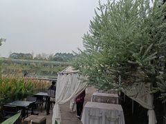 -白鹭湾湿地公园