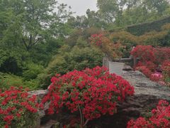 -虞山风景区