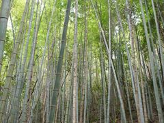 -桂山风景旅游区