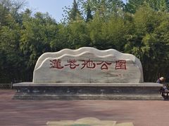 -莲花池公园
