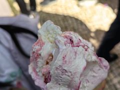 -柠檬车露(卖草地店)