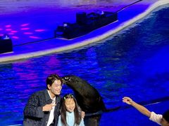 -三亚海昌梦幻海洋不夜城