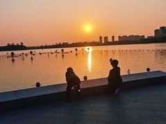 -暨阳湖生态园